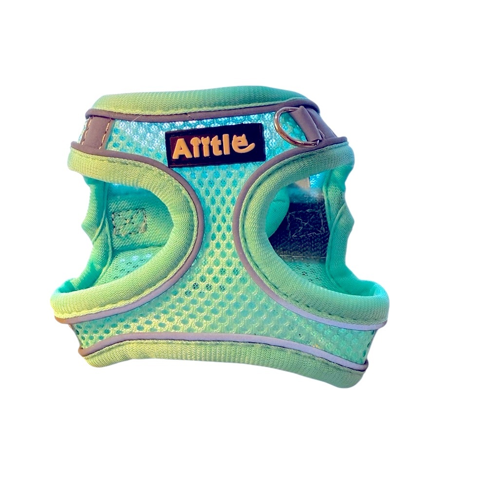 Green Dog Harness